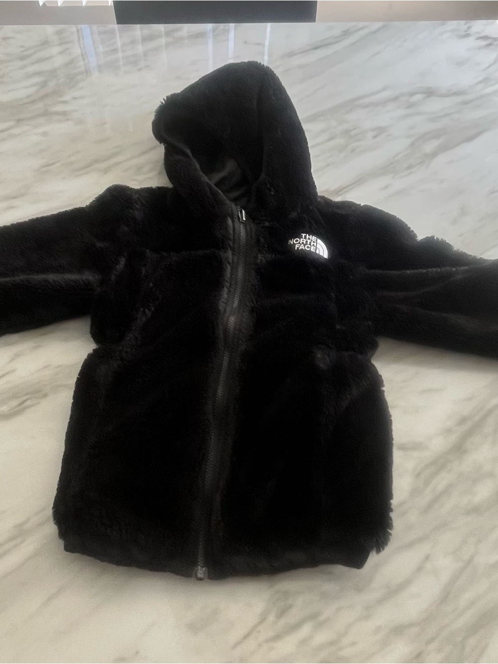 The North Face Black Plush Hooded Jacket